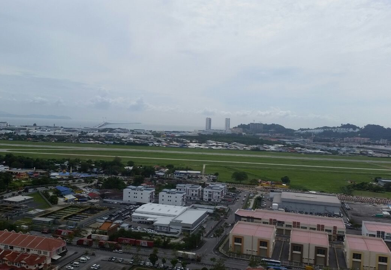 Tree Sparina @ Ideal Vision Park