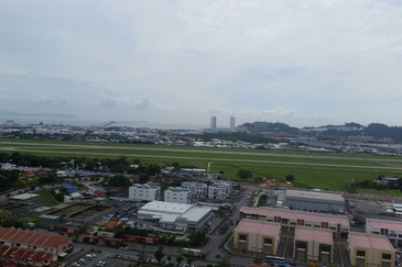 Tree Sparina @ Ideal Vision Park