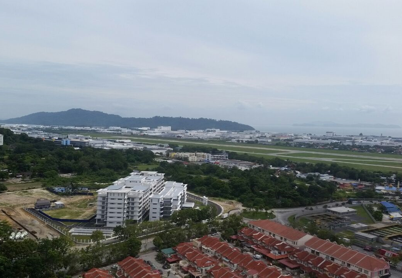 Tree Sparina @ Ideal Vision Park