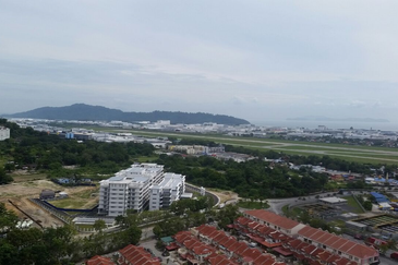 Tree Sparina @ Ideal Vision Park