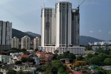 Tree Sparina @ Ideal Vision Park