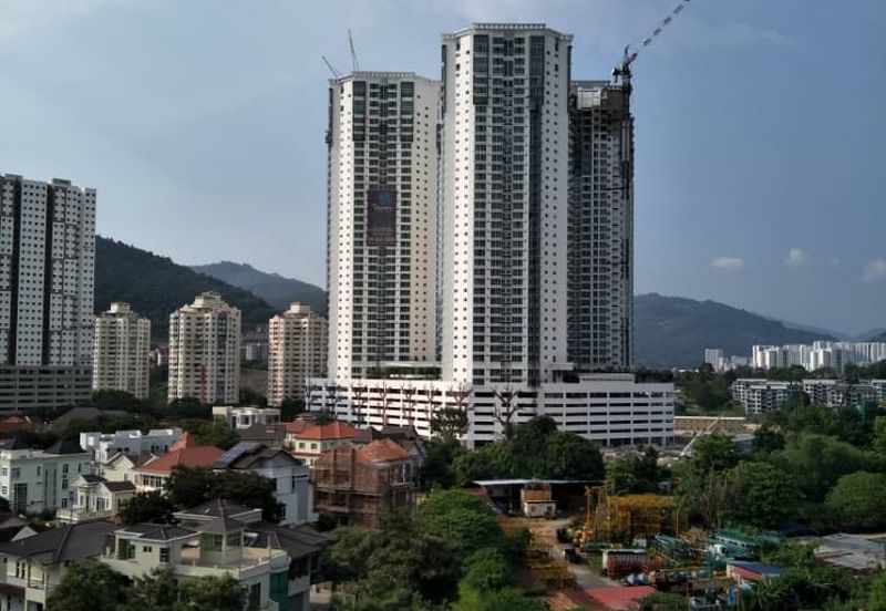 Tree Sparina @ Ideal Vision Park