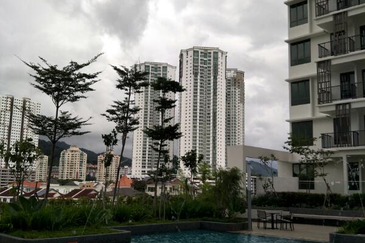 Tree Sparina @ Ideal Vision Park