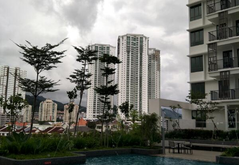 Tree Sparina @ Ideal Vision Park