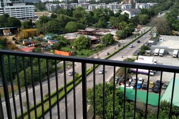 Tree Sparina @ Ideal Vision Park