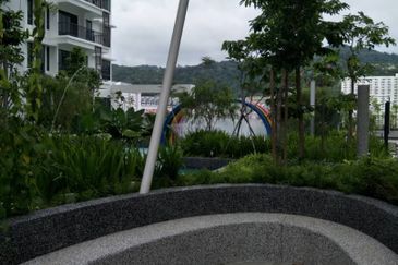 Tree Sparina @ Ideal Vision Park