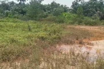 Bandar Baru Salak Tinggi