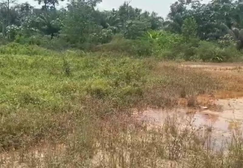 Bandar Baru Salak Tinggi