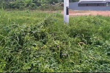 Bandar Baru Salak Tinggi