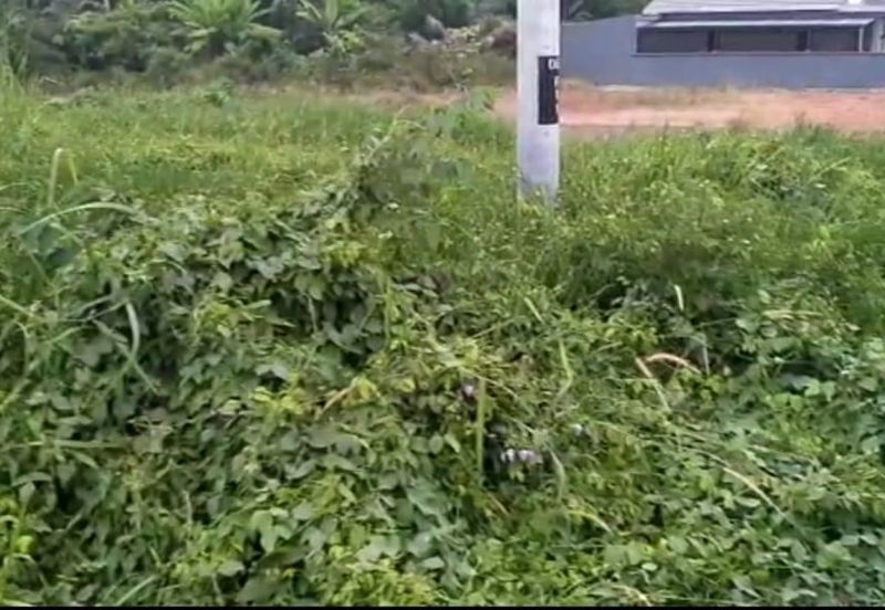 Bandar Baru Salak Tinggi