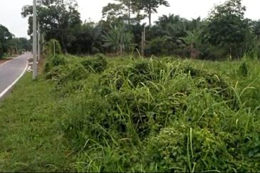 Bandar Baru Salak Tinggi