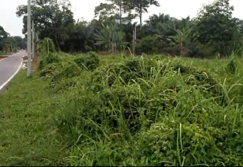 Bandar Baru Salak Tinggi