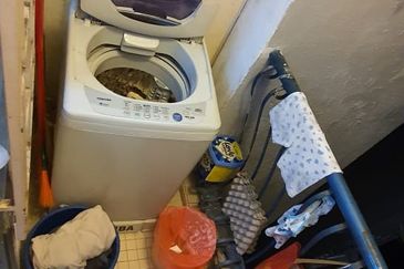 Subang Ville Ehsan Apartment