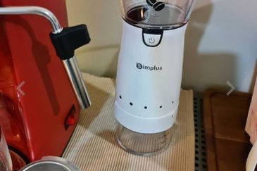 The Ooak (Kiara 163)