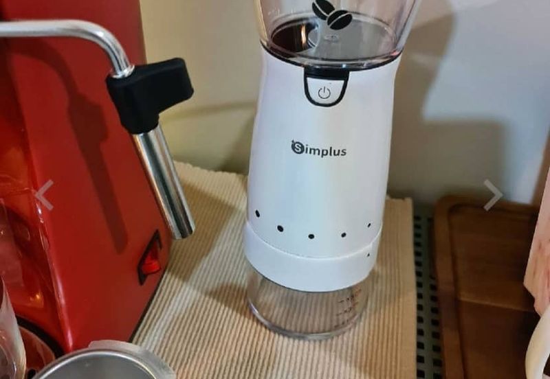 The Ooak (Kiara 163)