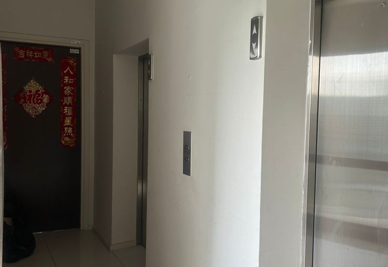 Concerto North Kiara