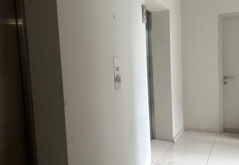 Concerto North Kiara