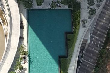 Arnica @ Tropicana Gardens