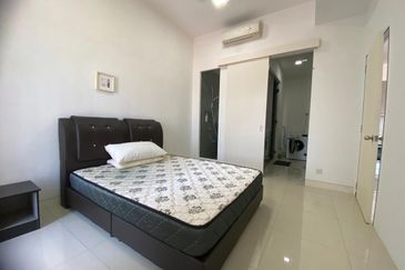 Arnica @ Tropicana Gardens