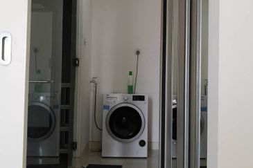 Arnica @ Tropicana Gardens