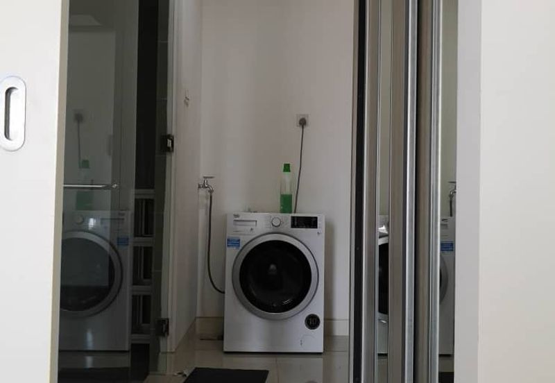 Arnica @ Tropicana Gardens