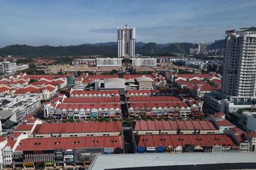 Arnica @ Tropicana Gardens