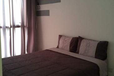 Arnica @ Tropicana Gardens