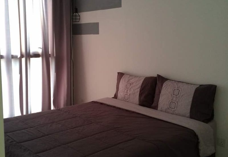 Arnica @ Tropicana Gardens