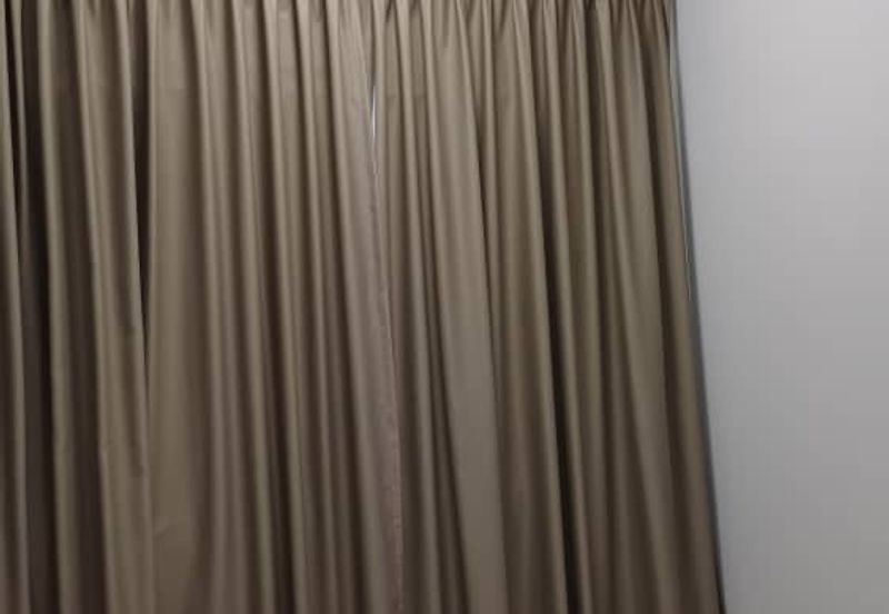 Dianthus @ Tropicana Gardens