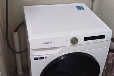 Dianthus @ Tropicana Gardens