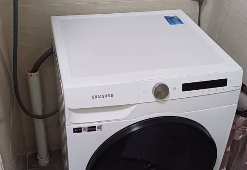 Dianthus @ Tropicana Gardens