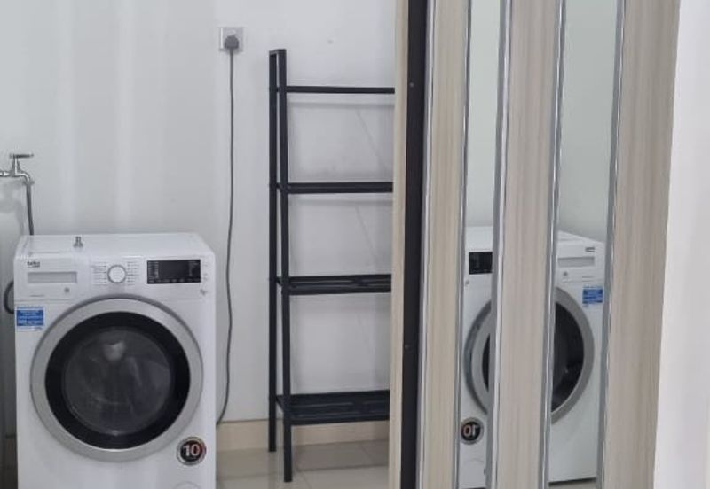 Arnica @ Tropicana Gardens