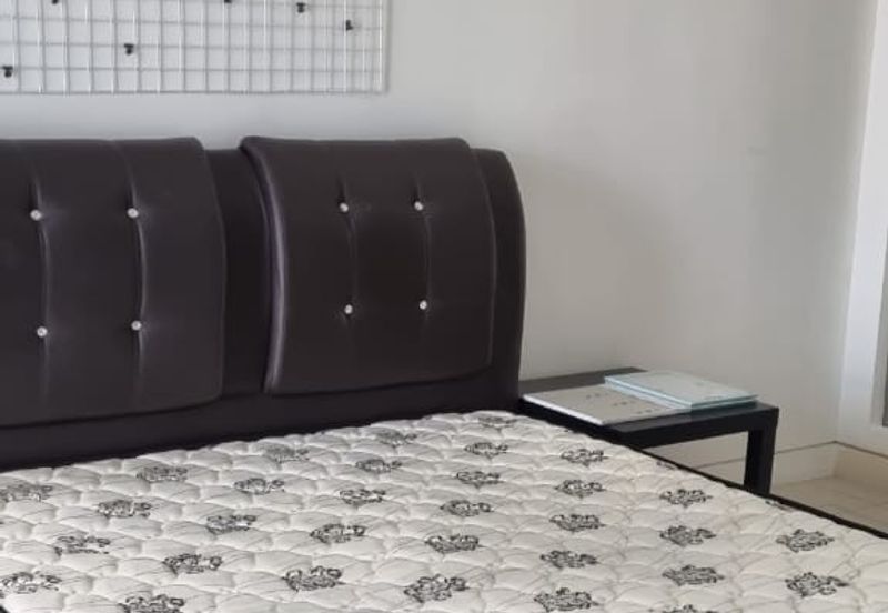 Arnica @ Tropicana Gardens