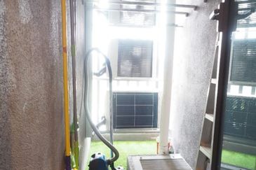 Dianthus @ Tropicana Gardens