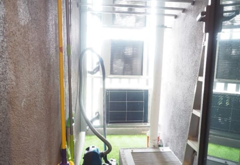 Dianthus @ Tropicana Gardens