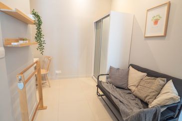 Dianthus @ Tropicana Gardens