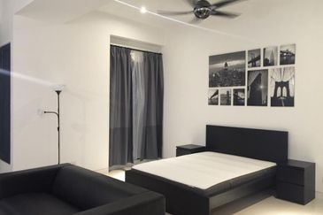 Arnica @ Tropicana Gardens