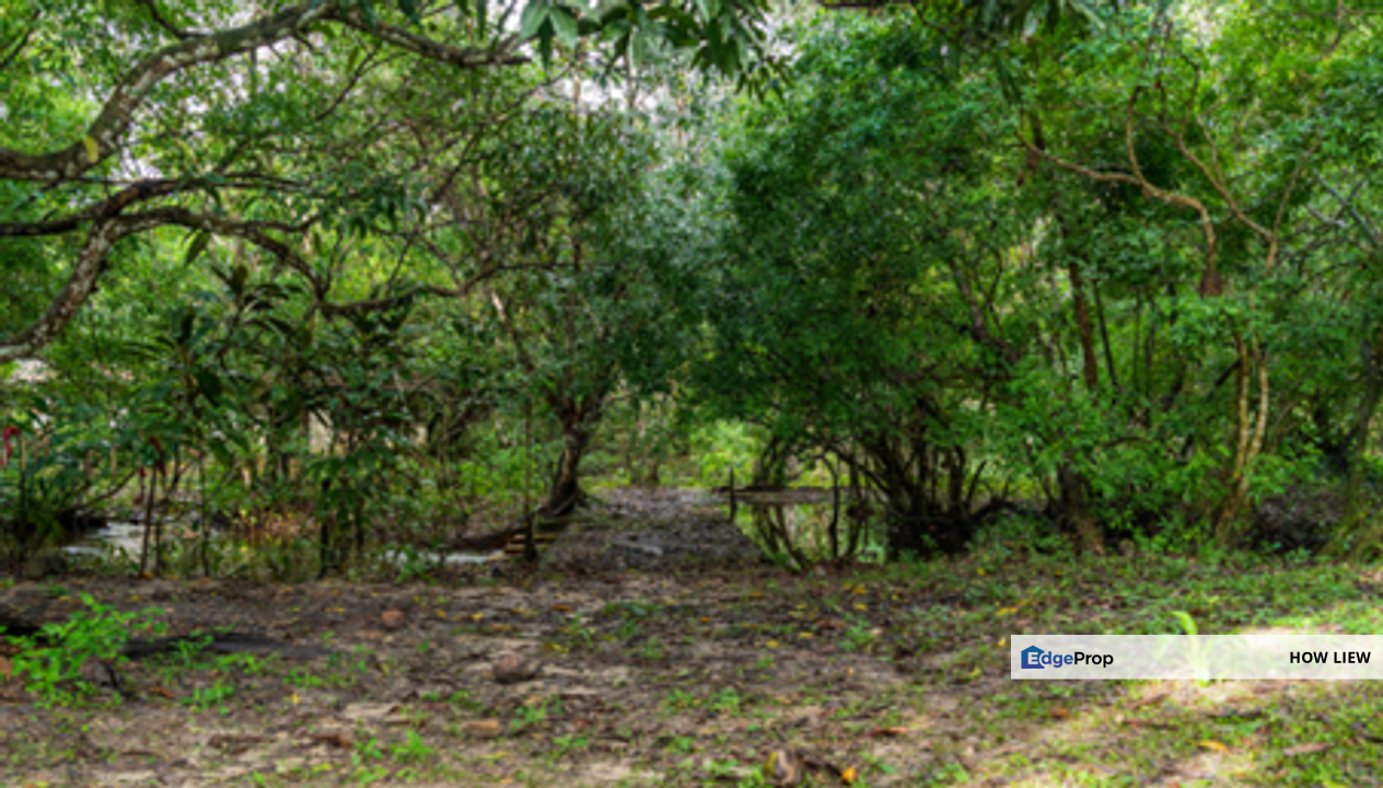 Residential Land Opposite Pasaraya Kini@Bukit Gambir for Sale  , Johor, Bukit Gambir