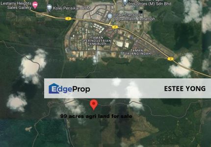 99 acres of agriculture land (with oil palm plantation age 20 yrs), Pahang, Temerloh