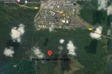 99 acres of agriculture land (with oil palm plantation age 20 yrs)