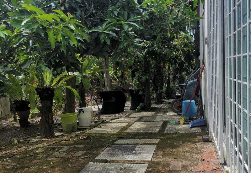 Taman Millenium Kingfisher