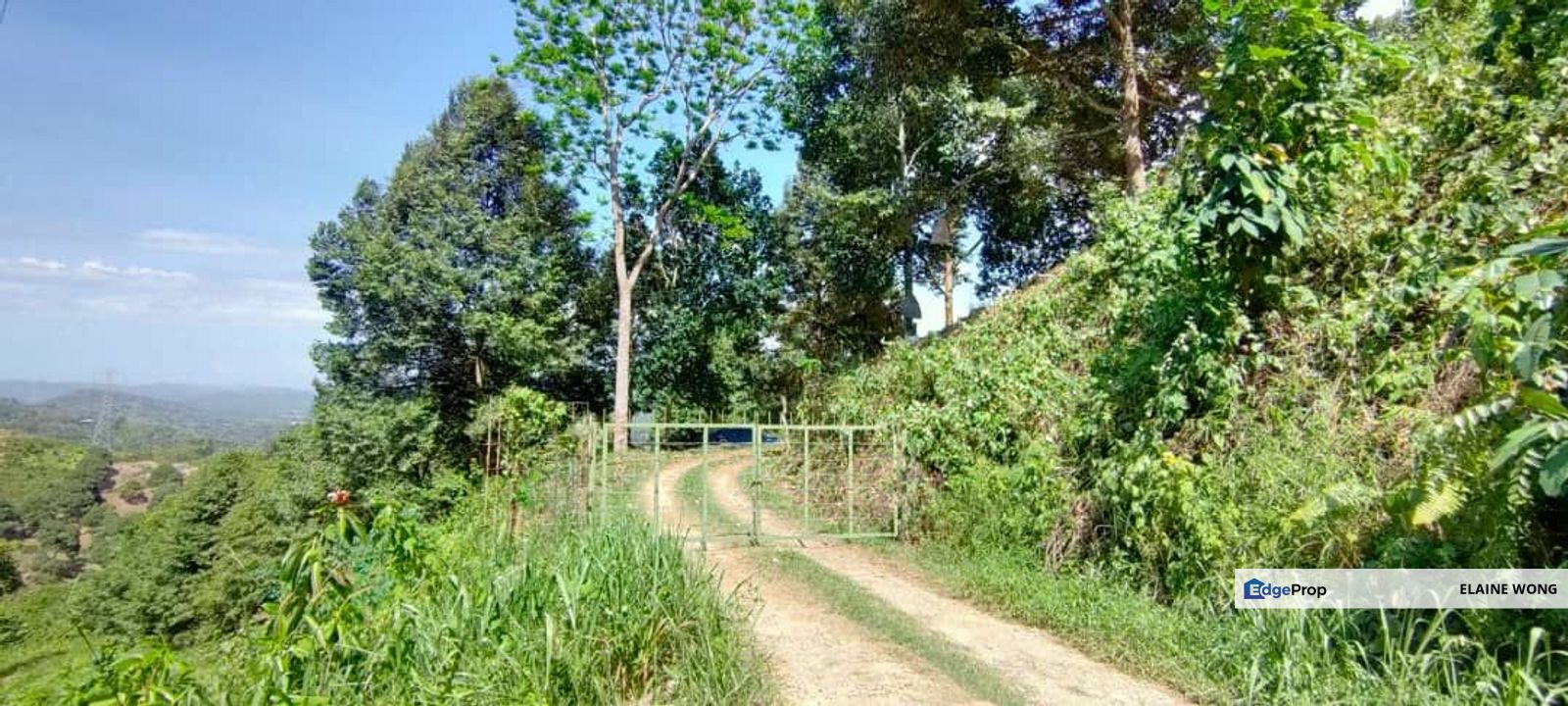Telipok land | Durian farm , Sabah, Kota Kinabalu