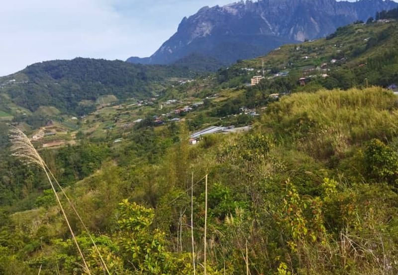 Kundasang