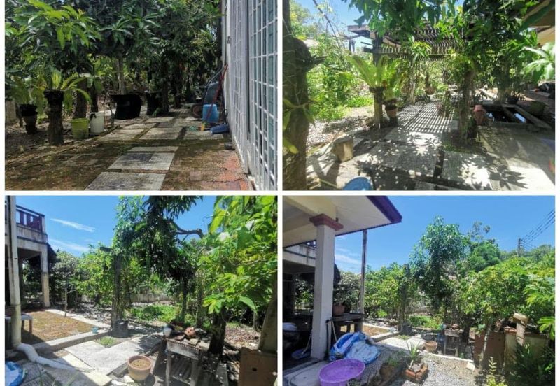 Taman Millenium Kingfisher