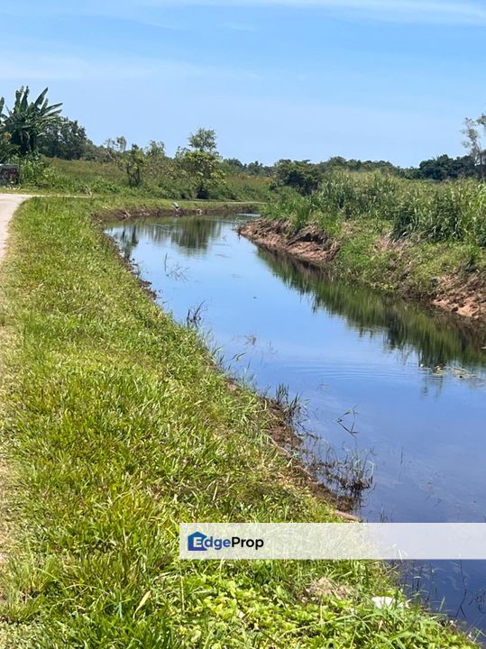 Benoni Papar Land | 999yrs | 22.5 acres | For Sale, Sabah, Papar