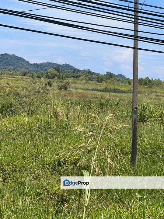 Benoni Papar Land | 999yrs | 22.5 acres | For Sale, Sabah, Papar