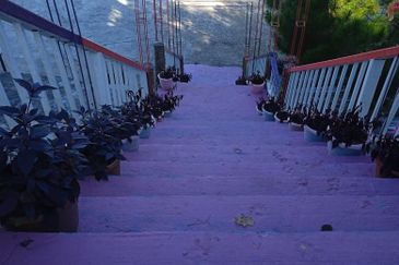 CL Land with Homestay | 1.6 acres | Roadside near Strawberry Garden Resort | Ranau