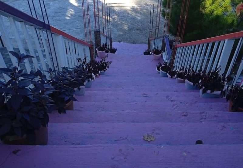 CL Land with Homestay | 1.6 acres | Roadside near Strawberry Garden Resort | Ranau