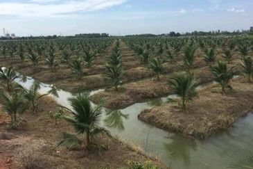 NT Land | 2.9 acres | Beaufort 