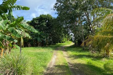 Kudat Agricultural Land for Sale  